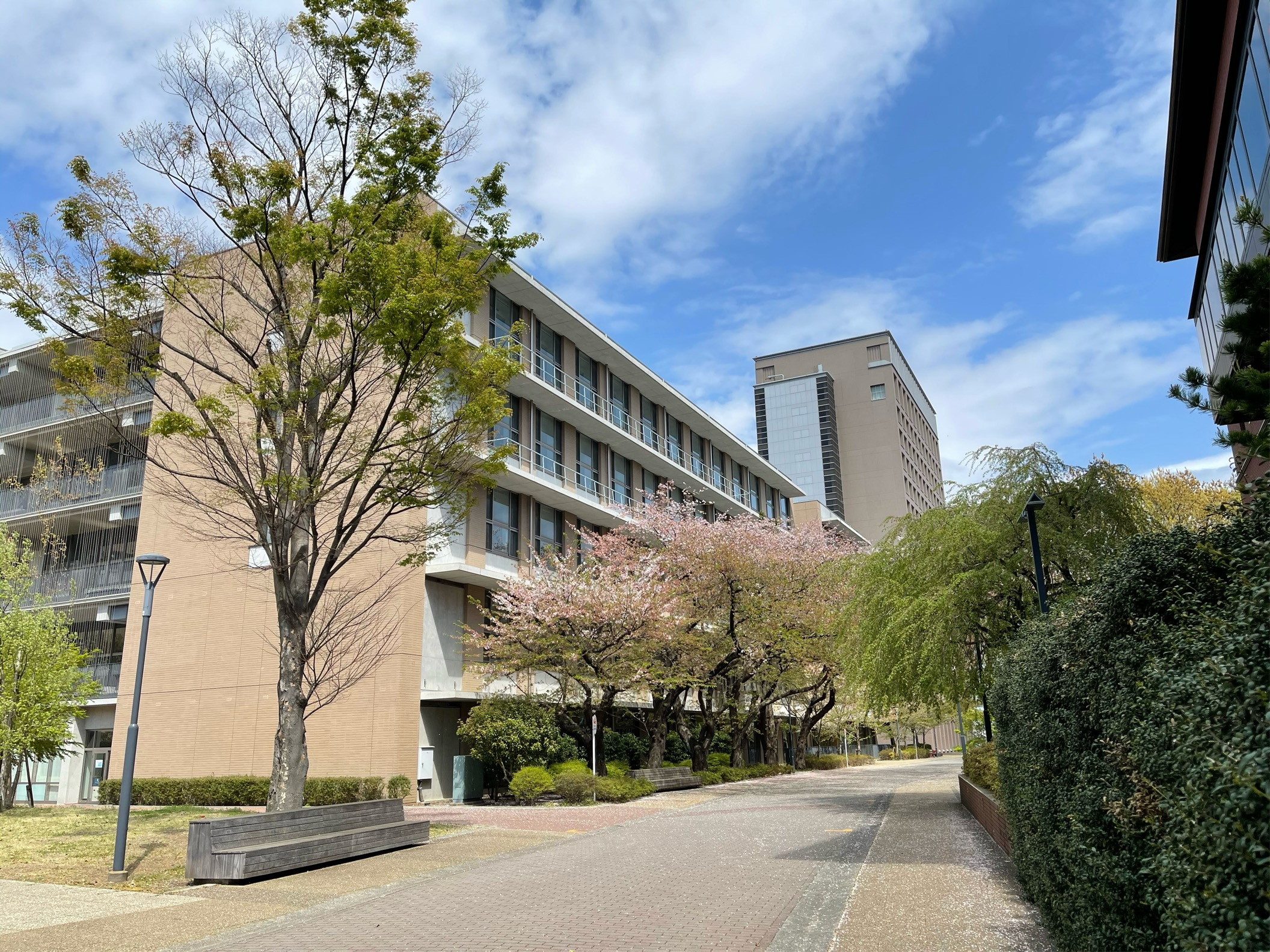 日大写真.png